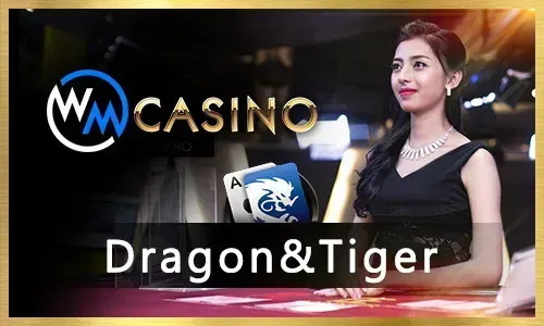 Discover Various Taya777 Online Bingo Game Types